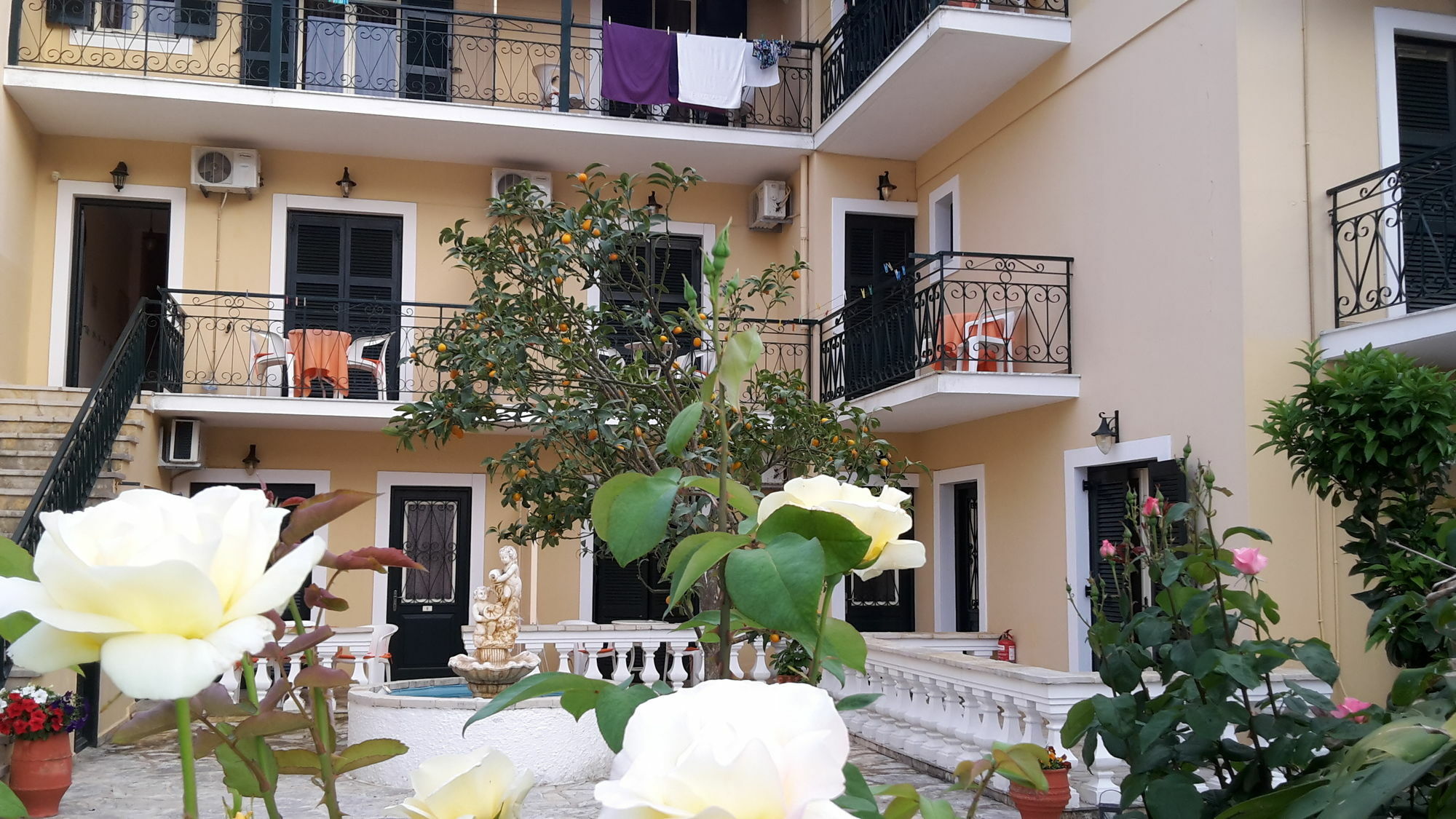 Elli Marina Studios And Apartments 贝尼蔡斯 外观 照片